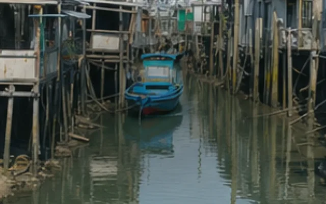홍콩의 주요 장소와 거리 풍경을 담은 타이오 어촌 마을 대표 이미지