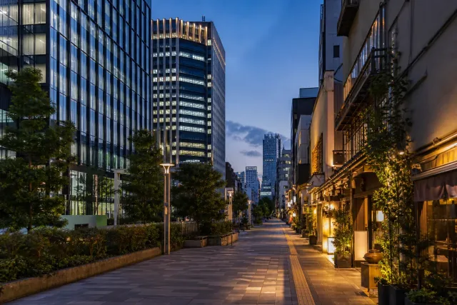 도쿄의 주요 장소와 거리 풍경을 담은 신주쿠 하루, 서쪽 전망과 동쪽 밤거리를 섞지 않는다 대표 이미지