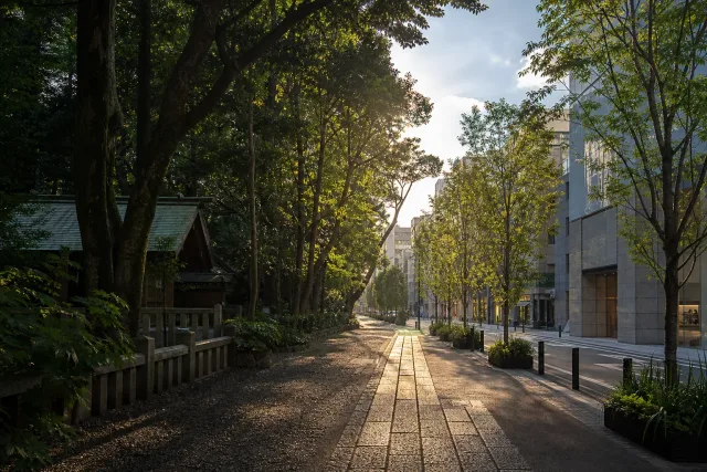 도쿄의 주요 장소와 거리 풍경을 담은 하라주쿠·오모테산도, 메이지신궁과 쇼핑 거리를 분리해 걷는다 대표 이미지